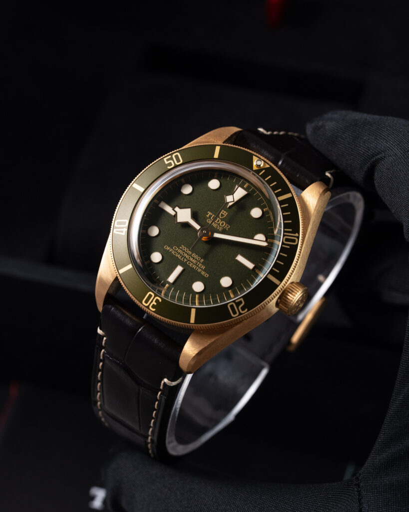 Tudor Black Bay 79018V 2025