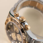 Rolex Daytona 126503 2024