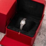 Cartier Panthere De Cartier WSPN0006 2018