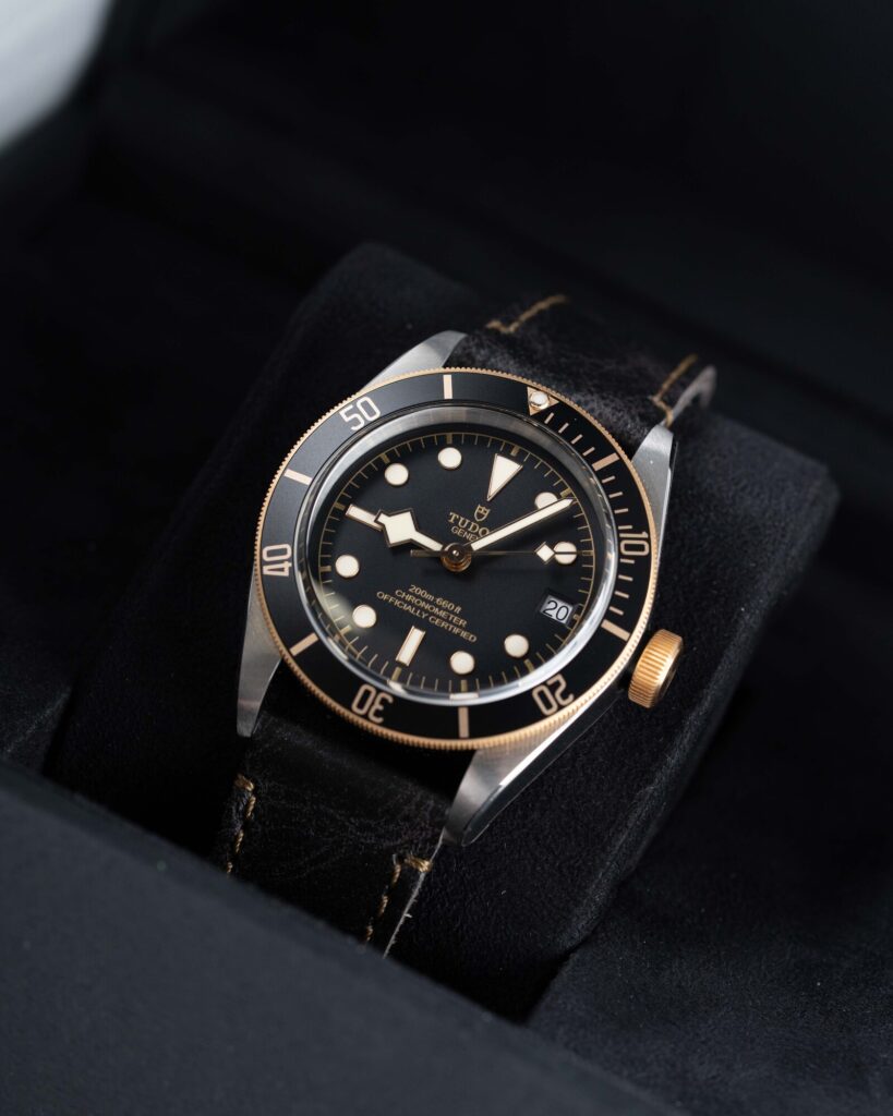 Tudor Black Bay