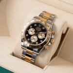 Rolex Daytona 126503 2024