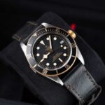 Tudor Black Bay