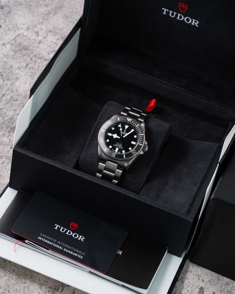 Tudor Pelagos 25407N 2023