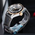 Tudor Black Bay