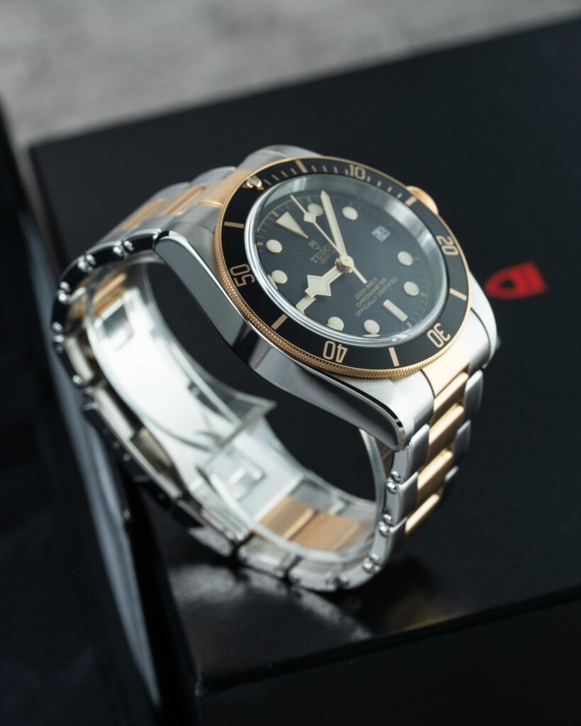 Tudor Black Bay S&g 79733N 2022