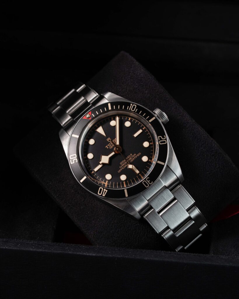 Tudor Black Bay 58 79030N 2021