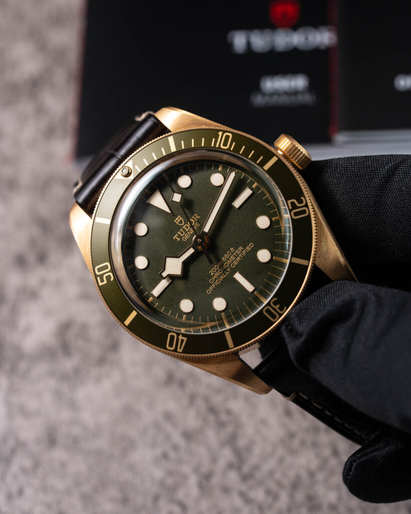 Tudor Black Bay 79018V 2025