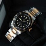 Tudor Black Bay S&g 79733N 2022