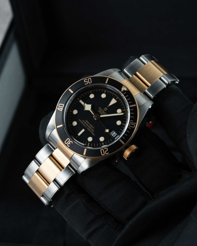 Tudor Black Bay S&g 79733N 2022