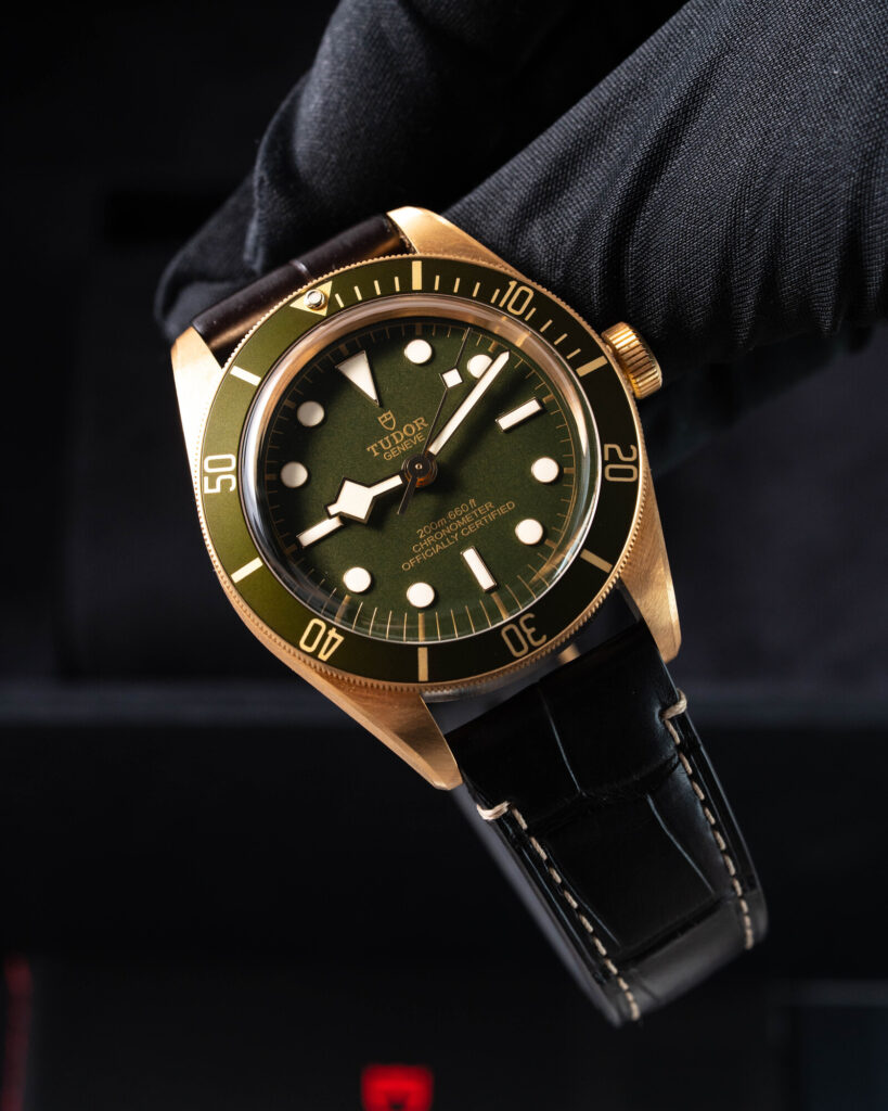 Tudor Black Bay 79018V 2025