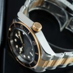 Tudor Black Bay S&g 79733N 2022