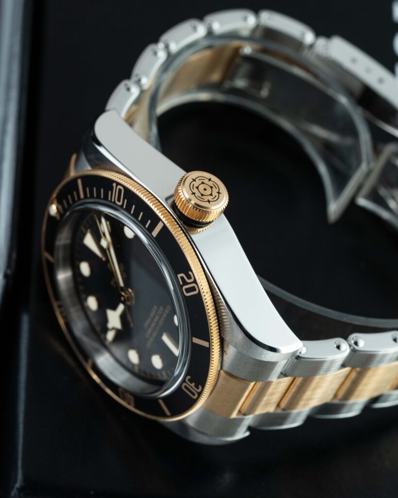 Tudor Black Bay S&g 79733N 2022