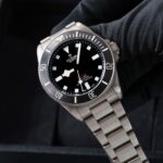 Tudor Pelagos 25407N 2023