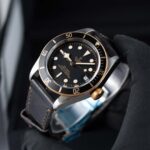 Tudor Black Bay