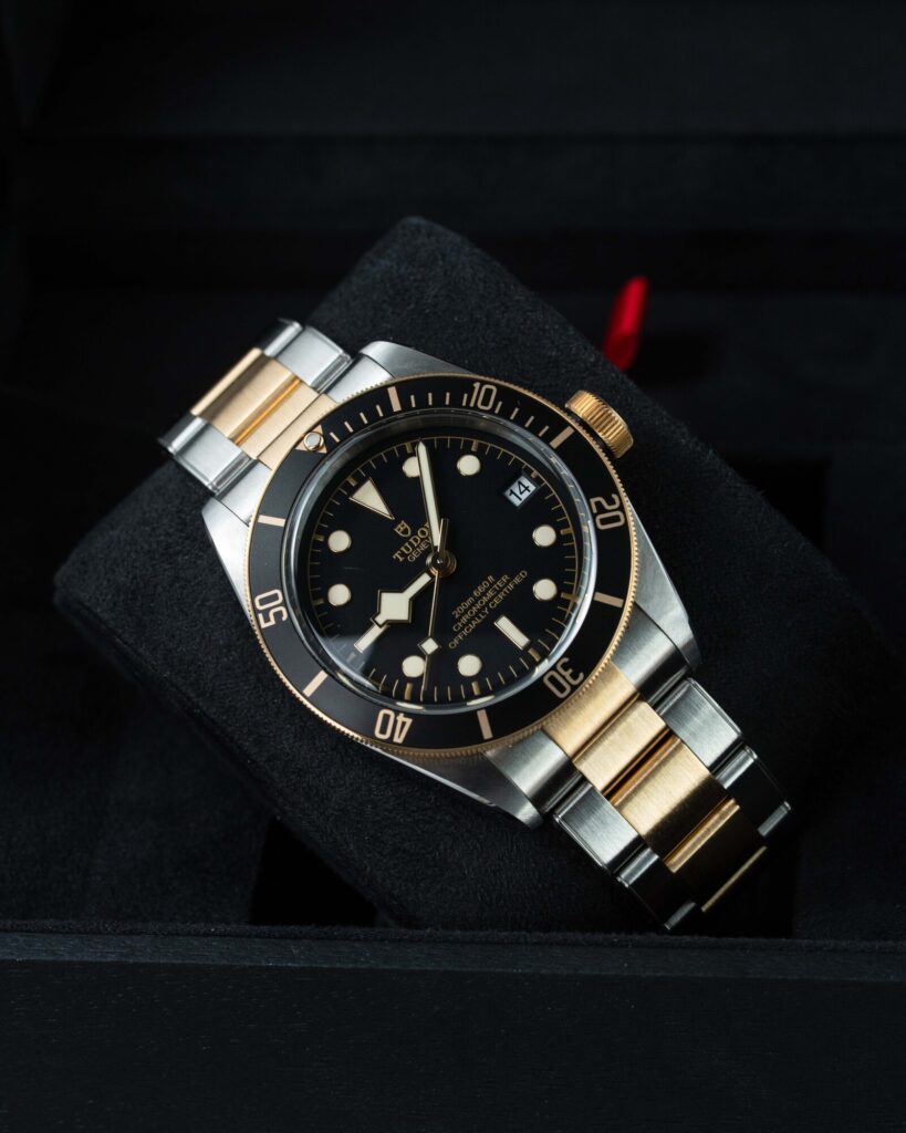 Tudor Black Bay S&g 79733N 2022