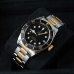 Tudor Black Bay S&g 79733N 2022