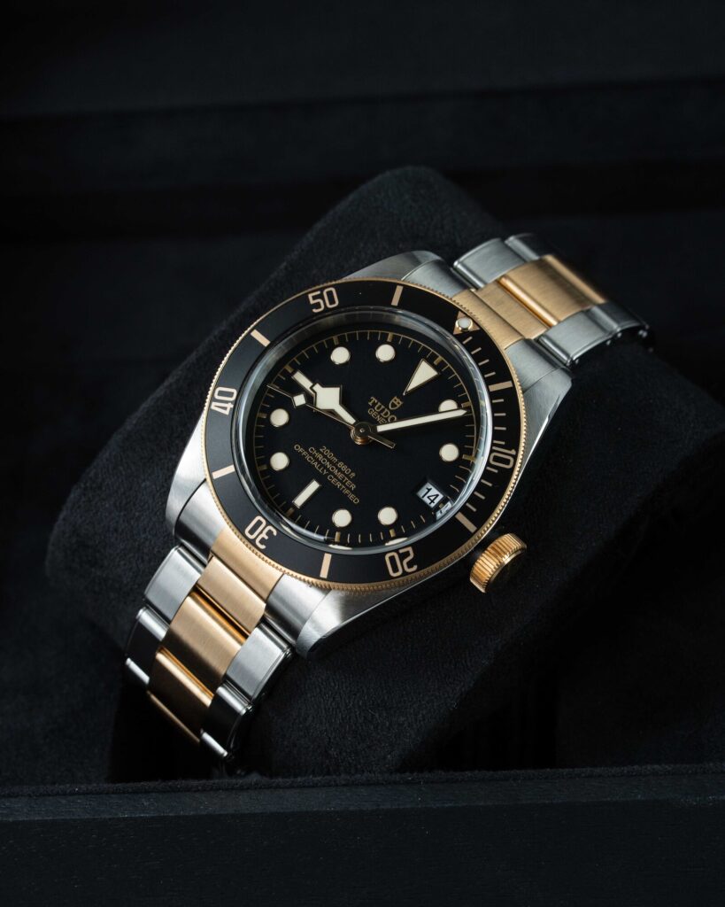 Tudor Black Bay S&g 79733N 2022