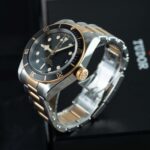 Tudor Black Bay S&g 79733N 2022
