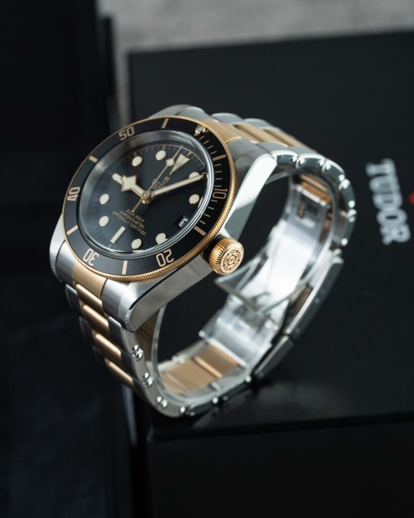 Tudor Black Bay S&g 79733N 2022