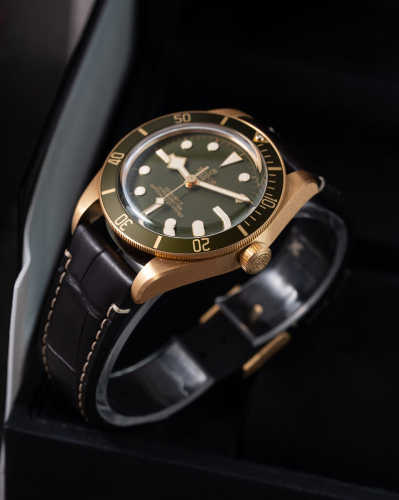 Tudor Black Bay 79018V 2025
