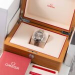 Omega Seamaster Aqua Terra 220.10.38.20.09.001 2025