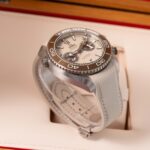 Omega Planet Ocean Chronograph 215.32.46.51.09.001 2025