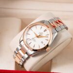 Omega Seamaster Aqua Terra 2303.30.00 2005
