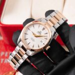 Omega Seamaster Aqua Terra 2303.30.00 2005