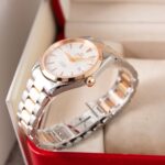 Omega Seamaster Aqua Terra 2303.30.00 2005
