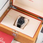 Omega Seamaster Diver 300M 210.32.42.20.01.001 2024