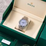 Rolex Oyster Perpetual 134300 2026