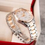 Omega Seamaster Aqua Terra 2303.30.00 2005