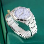 Rolex Oyster Perpetual 134300 2025