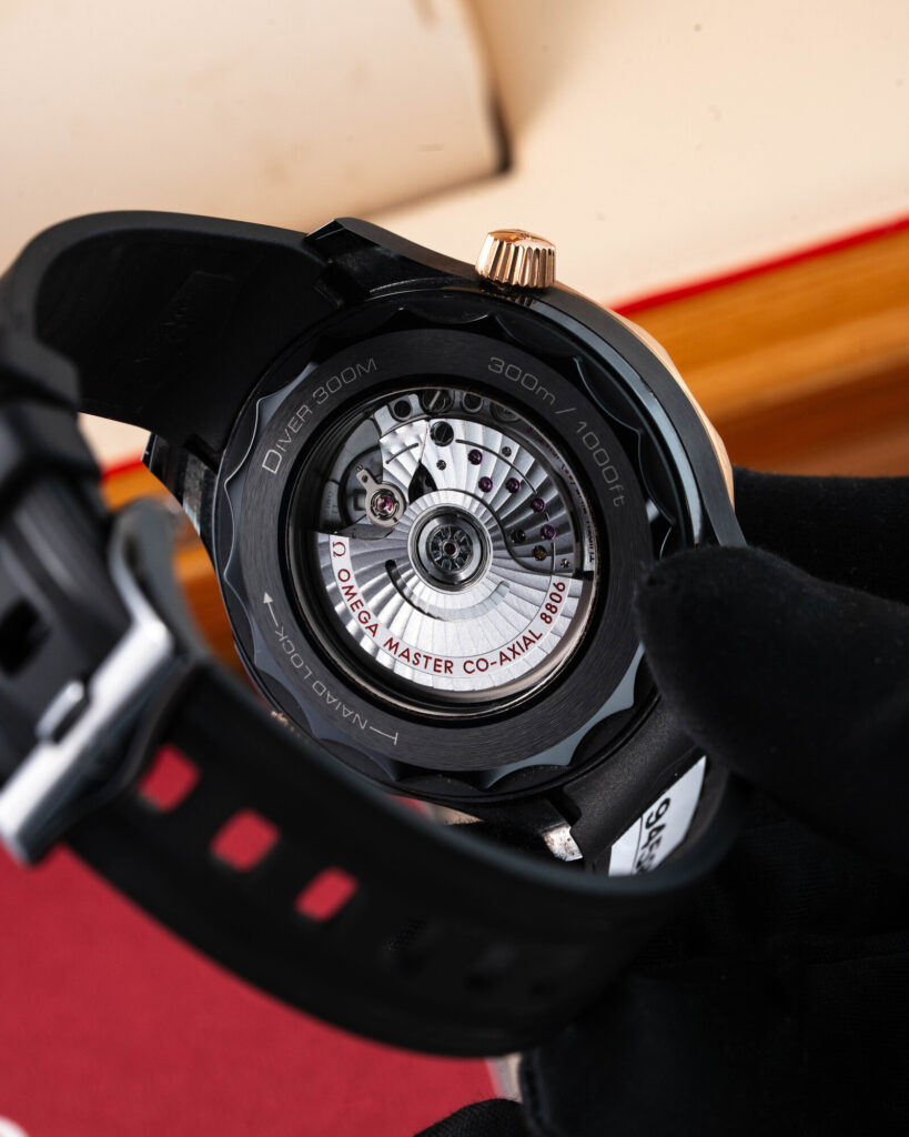 Omega Seamaster 210.62.44.20.01.001 2022