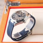 Omega Seamaster Aqua Terra 220.10.41.21.06.001 2019