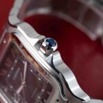Cartier Santos WSSA0062 2024