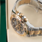 Rolex Daytona 126503 2023
