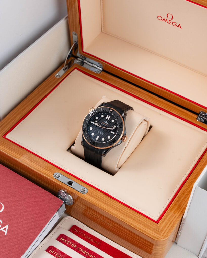 Omega Seamaster 210.62.44.20.01.001 2022