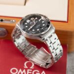 Omega Seamaster 210.30.42.20.01.001 2019