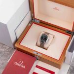 Omega Seamaster 220.10.38.20.10.001 2022