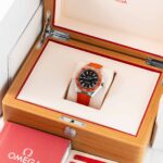 Omega Seamaster Planet Ocean 217.32.42.21.01.004 2025