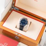 Omega Seamaster Planet Ocean 600M Co-Axial Master 215.33.44.21.03.001 2018