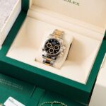 Rolex Daytona 126503 2024