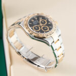 Rolex Daytona 126503 2024