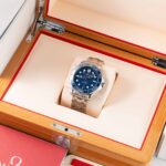 Omega Seamaster 210.30.42.20.03.001 2021
