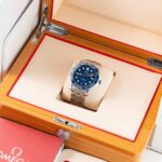 Omega Seamaster 21030422003001 2021