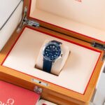 Omega Seamaster Diver 300M 210.32.42.20.03.001 2018