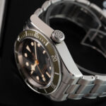 Tudor Black Bay Harrods 79230G 2021