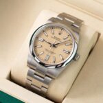 Rolex Oyster Perpetual 134300 2025