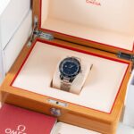 Omega Seamaster 300 234.30.41.21.03.001 2021